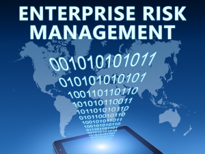 Enterprise Risk Management Training - Leap To Success