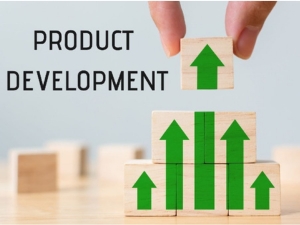 Product Development Training - Leap To Success