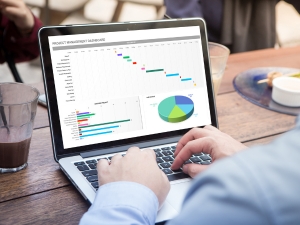 Professional Certificate in Financial Modelling using Excel Training - accounting and finance courses - Leap To Success