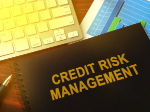 Credit and Risk Management - Leap2Success